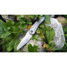 Нож ZERO TOLERANCE 0055 GTC
