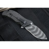 Нож ZERO TOLERANCE 0301 STRIDER ONION FOLDER SPEEDSAFE